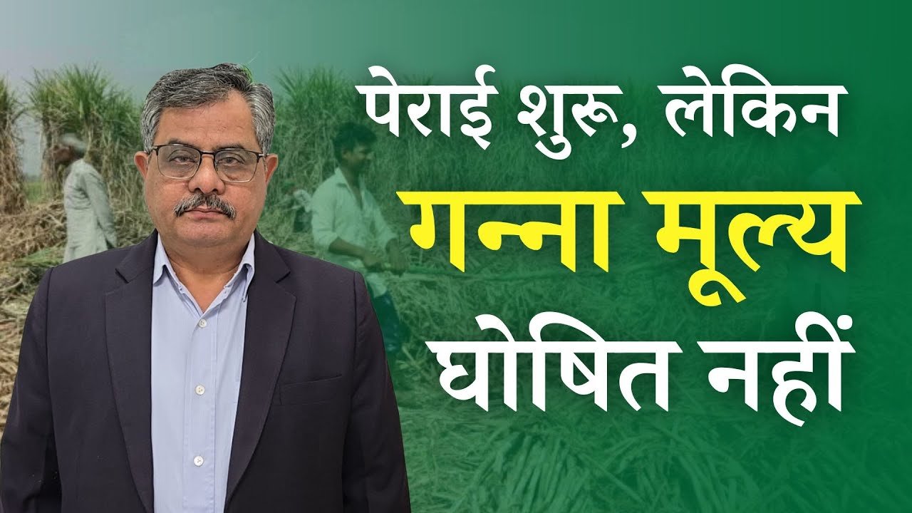 गन्ना किसानों की बढ़ सकती है समस्या पेराई सत्र शुरू,लेकिन गन्ना मूल्य की घोषणा नहीं